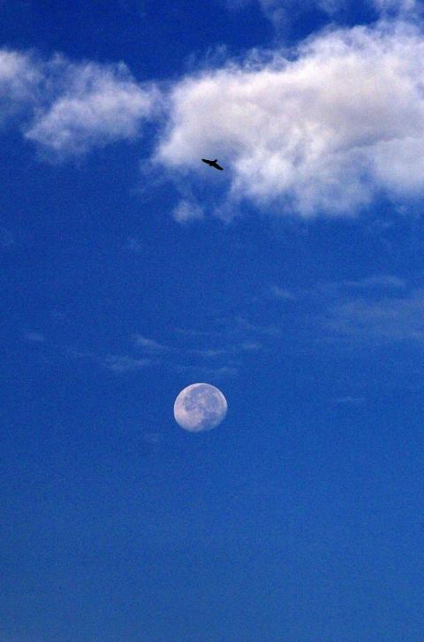 Meru: bulan di siang hari